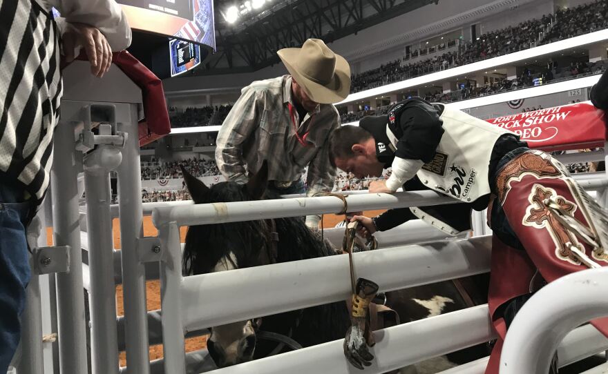 Tim O'Connell petting bronc