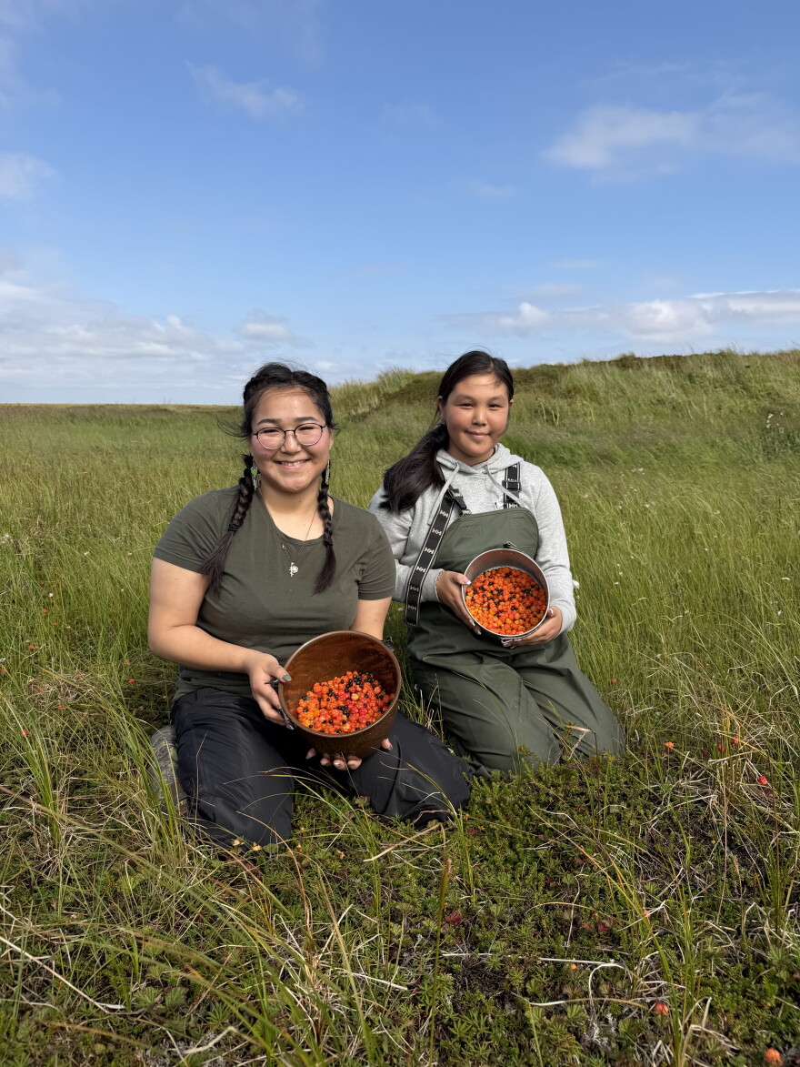 Cousins Caley Paul and Preston Evan fill buckets of salmonberries near Kipnuk on August 12, 2026.