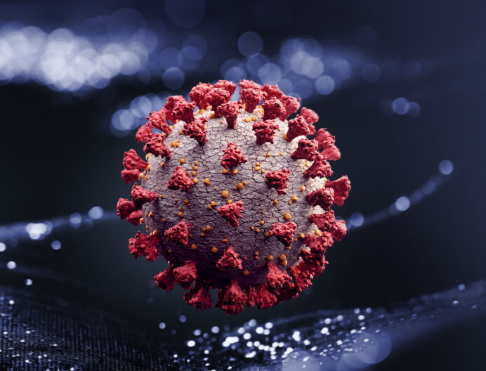 A computer rendering of SARS-CoV-2, the virus that causes COVID-19.