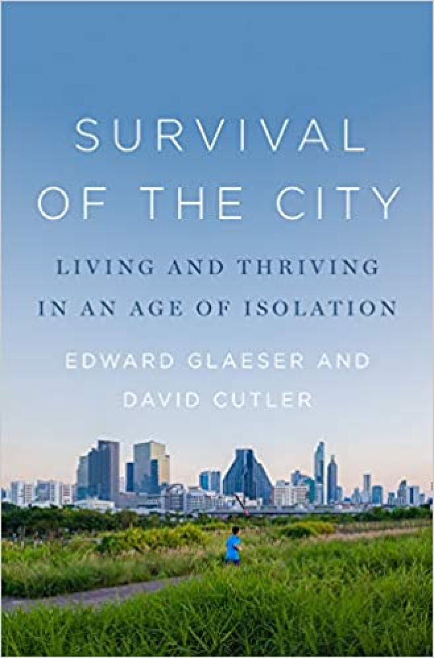 Survival of the City Book Cover