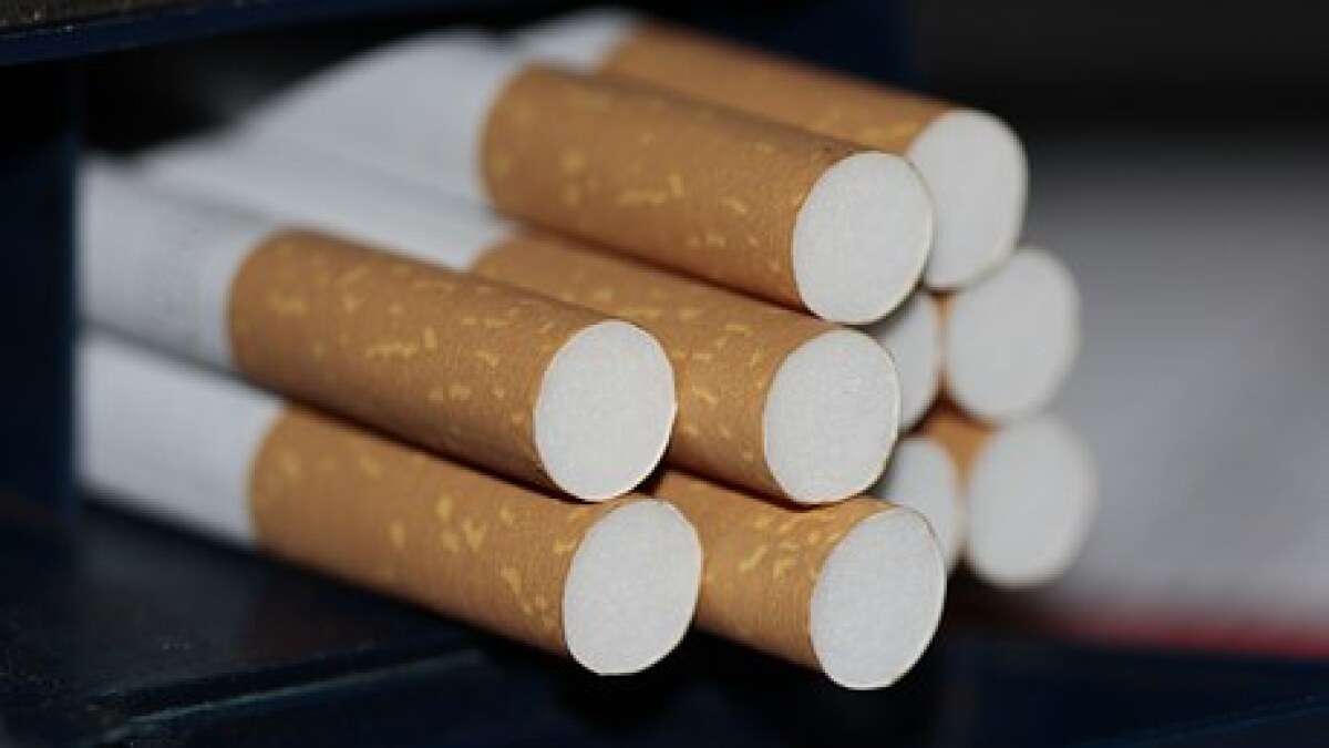 california cigarette Al Fakher Citrus Breeze Hookah Tobacco Smoxygen California Senate votes to raise