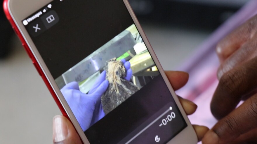 Jan Johnson pulls up a video that she received as part of a new smoking cessation text messaging program. [Tim Dubravetz / ideastream]