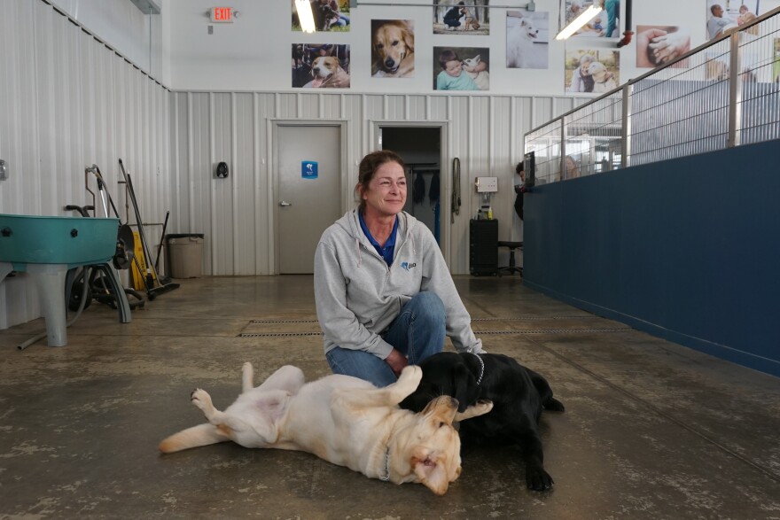 Nadine Wenig is the director of canine services at Duo Dogs. She's pictured with Deke and Sal, service dogs in training.