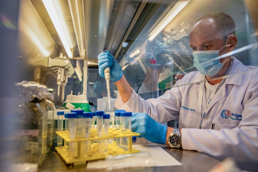 Gerhardt Boukes, chief scientist at Afrigen Biologics and Vaccines, formulates mRNA for use in a new vaccine against COVID-19. The company — based in Cape Town, South Africa — is the linchpin of a global project to enable low- and middle-income countries to make mRNA vaccines against all manner of diseases.