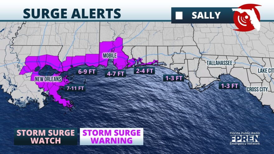 Sally Surge Alerts