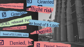 An editorial collage combining a black-and-white photograph of the Patrick V. McNamara Federal Building, home to the Detroit Immigration Court, with colorful torn-paper fragments of text clipped from immigration court bond hearing documents. The scraps — in pink, blue, and green — display partial phrases including "Granted" (with a checked checkbox), "Denied" (with a checked checkbox), "a flight risk," "Respondent is a flight risk," "the Immigration Judge denied Pe[titioner]," "(ICE), released Petit[ioner]," "under bond of $5,000," "bond of $15,000, with," and "Denied, because." The overlapping fragments visually contrast bond grants and denials, evoking the bureaucratic and high-stakes nature of immigration detention proceedings. 