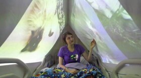 Maga Barzallo Sockemtickem, 16, received a bone-marrow transplant at Seattle Children's Hospital in 2011 for leukemia and returned in July 2012 for follow-up treatment. On July 25, an artist at the hospital set up a cat photo installation in her room.