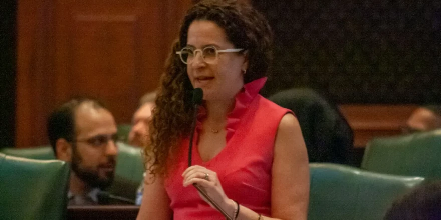 Rep. Mary Beth Canty, D-Arlington Heights speaks on the House floor April 17. Canty is the sponsor on a contentious human composting bill.