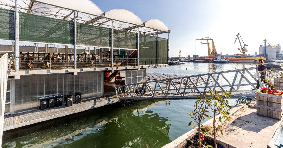 From Foe to Friend: The Dutch Rethink Their War Against the Sea