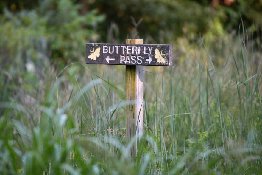 Butterfly Pass is one of the choices for visitors to hike at Parkville Nature Sanctuary.