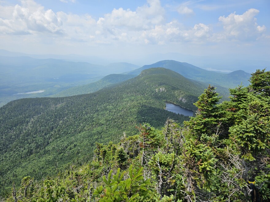 The western end of Bigelow Preserve, as seen from South Horn on July 26, 2023.
