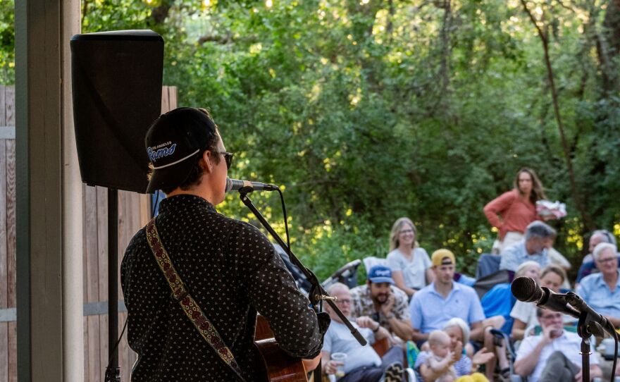 Musician plays and sings