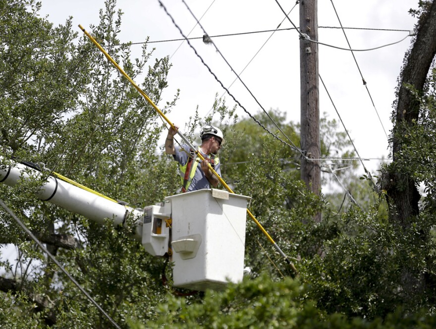 A worker trims branches from trees near power lines in a downtown neighborhood in Orlando, Fla. during preparation for the arrival of Hurricane Irma, Friday, Sept. 8, 2017.