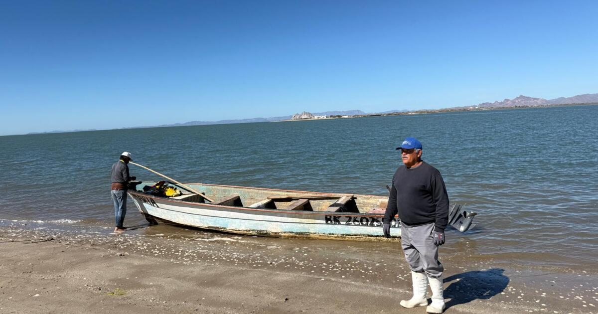 Mexico plans to expand highway from Hermosillo toward the coast