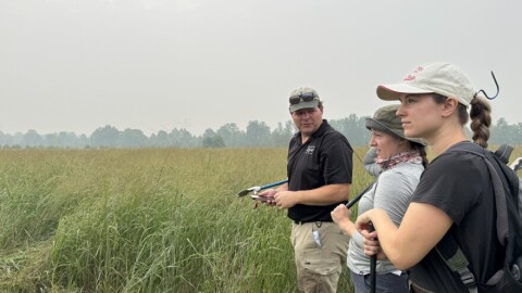 Ohio conservationists hope to help revive populations of a rattlesnake native to Ohio.