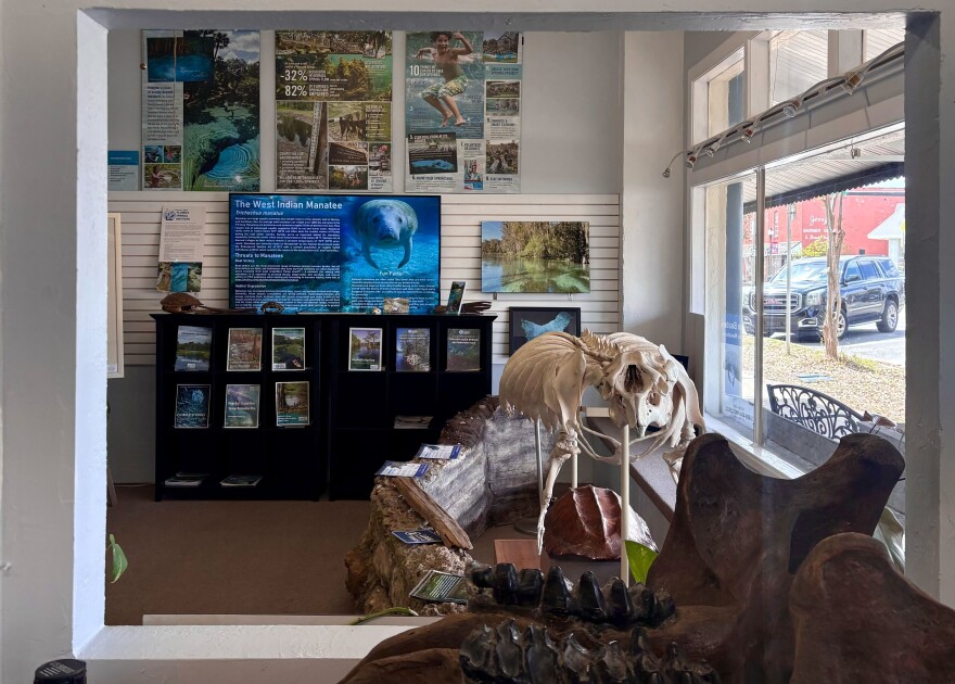 A television inside the Florida Springs Institute Welcome Center displays information about the West Indian manatee. Posters, magazines and fossil displays about Florida springs are also featured throughout the room. (Ornella Moreno/WUFT News)