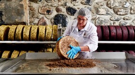 Master cheesemaker, Pam Hodgson, hard at work.