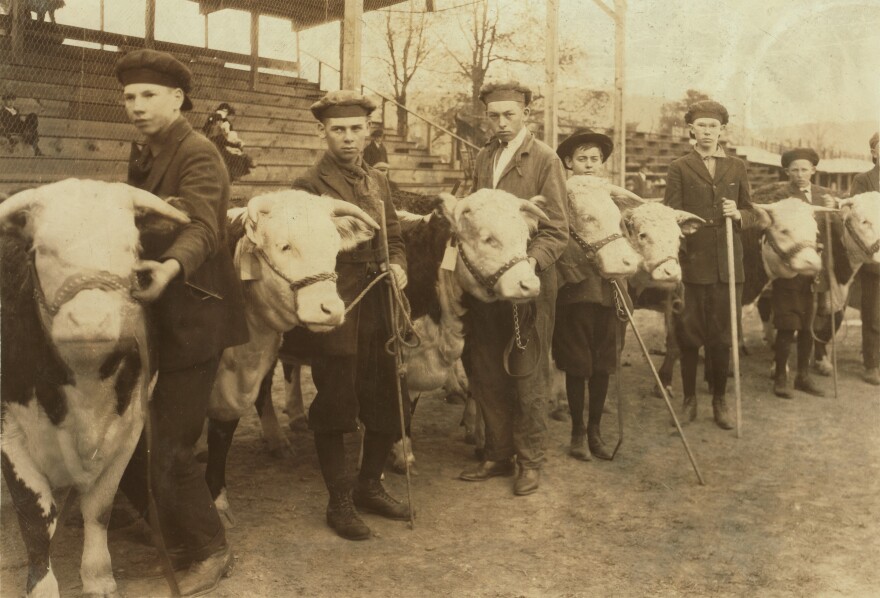 4-H livestock exhibit in Charleston, West Virginia in 1921