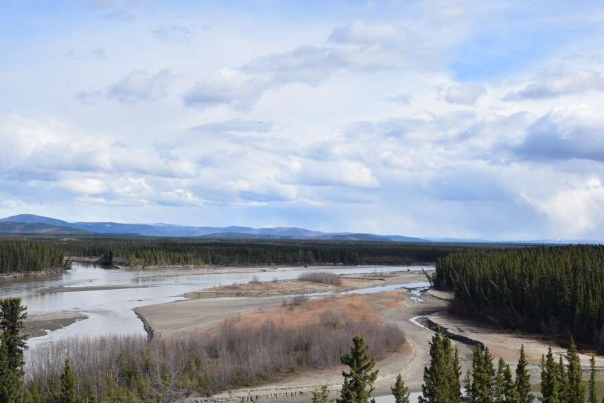 The Delta River near Delta Junction on May 3, 2025.