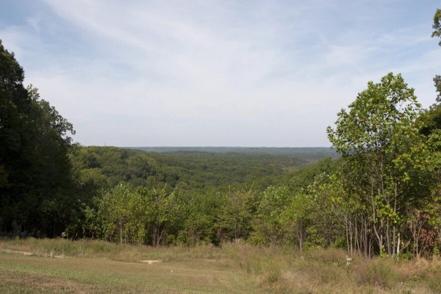 Leaves at the Brown County State Park are a bit greener than usual for this time of year.