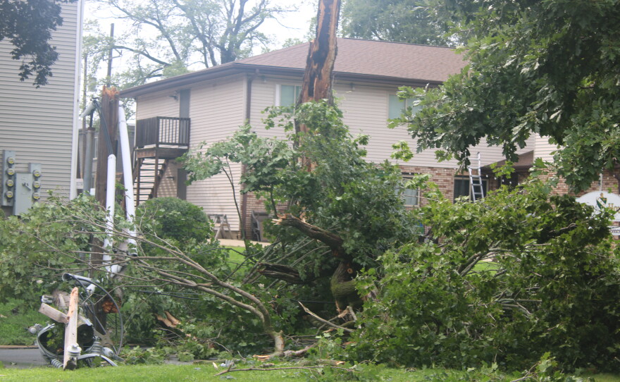 A powerful storm ripped through Bloomington-Normal Thursday, leaving downed trees and powerlines in its aftermath.
