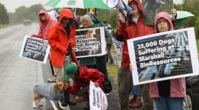 Scarlet Strakova, wearing an orange rain jacket, has her beagle , Gabby, on  leash. Gabby is wearing a gray jacket and is being petted by a kneeling Ellie Hansen, who helped organize other animal rights activists to protest on Aug. 9, 2024, in front of the entrance to Marshall BioResources.