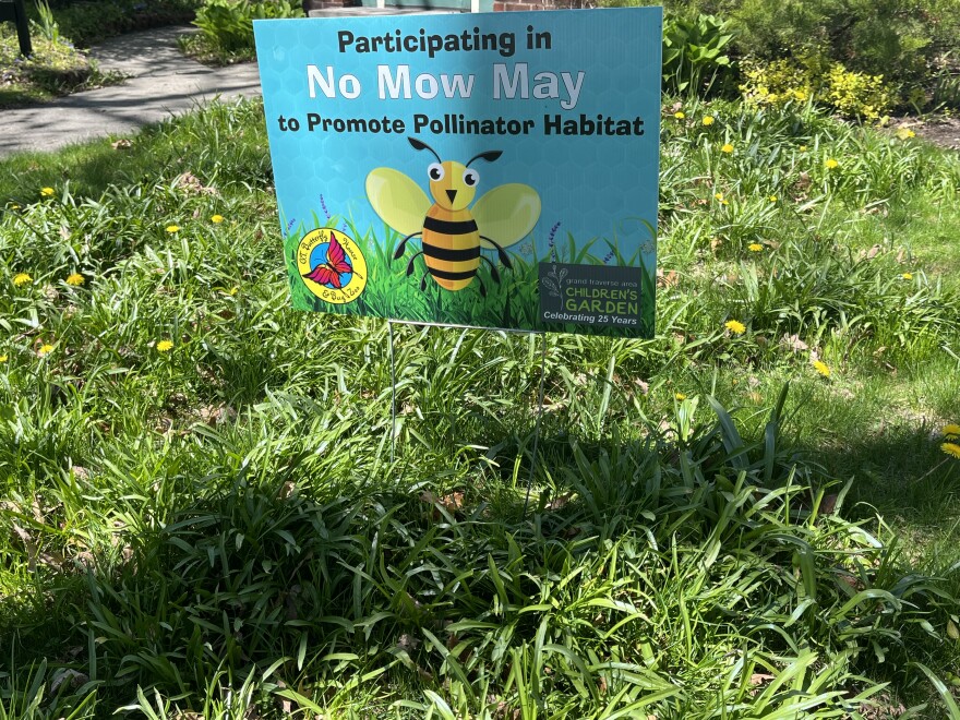 A “No Mow May” sign in a Traverse City yard. May 5, 2024. (Photo: Izzy Ross/IPR News)