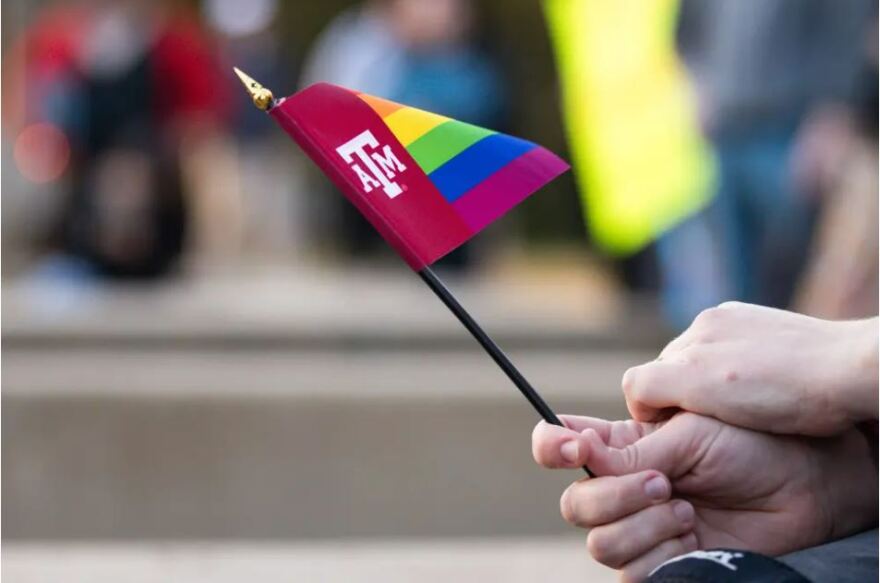A viral video of a Texas A&M student confronting a professor over a discussion of gender identity in a children's literature class sparked controversy earlier this month. In the aftermath, some university systems and community colleges have ordered a review of their courses.