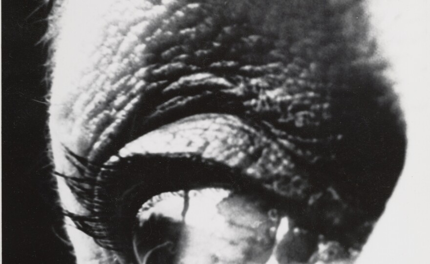Louise Nevelson, 1963