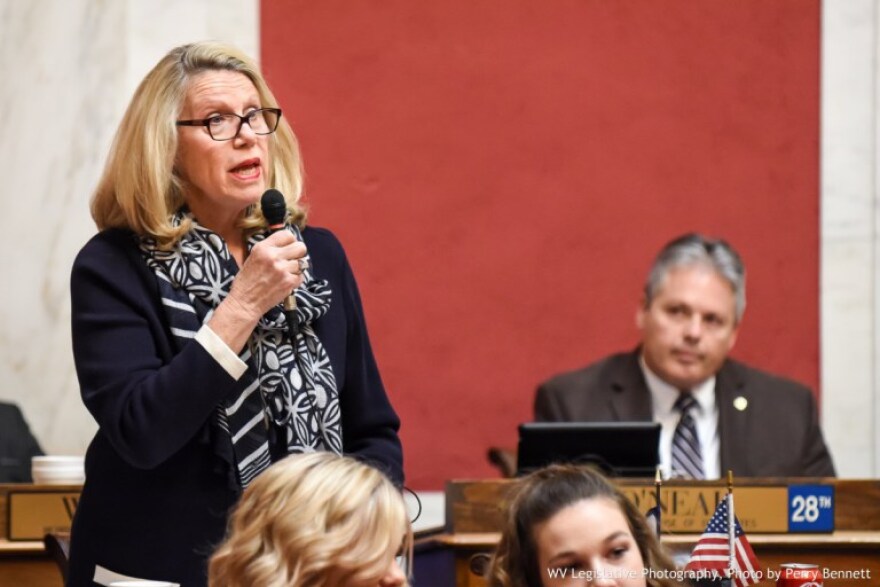Del. Carol Miller, Republican candidate for West Virginia’s 3rd Congressional District, speaks on the floor of the West Virginia House of Delegates.