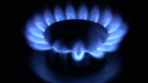 A lower-carbon natural gas flame burns on a stovetop at a NW Natural testing facility.