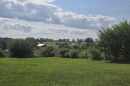 A rural landscape with trees, rolling fields and barns