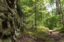 Wilderness trail next to rock wall.