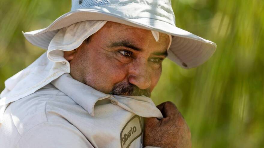  Gilberto Lujano, 49, wipes sweat from his face after while working on a roof on Tuesday, May 2, 2023, in Homestead, Fla.