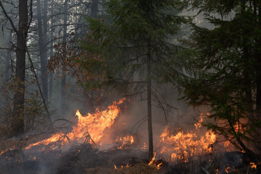 College of Natural Resources prescribed burn in the University of Idaho Experimental Forest.