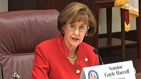 State Sen. Gayle Harrell introduced Senate Bill 100 at the a meeting of the Transportation Committee on Wednesday. Image: Florida Channel