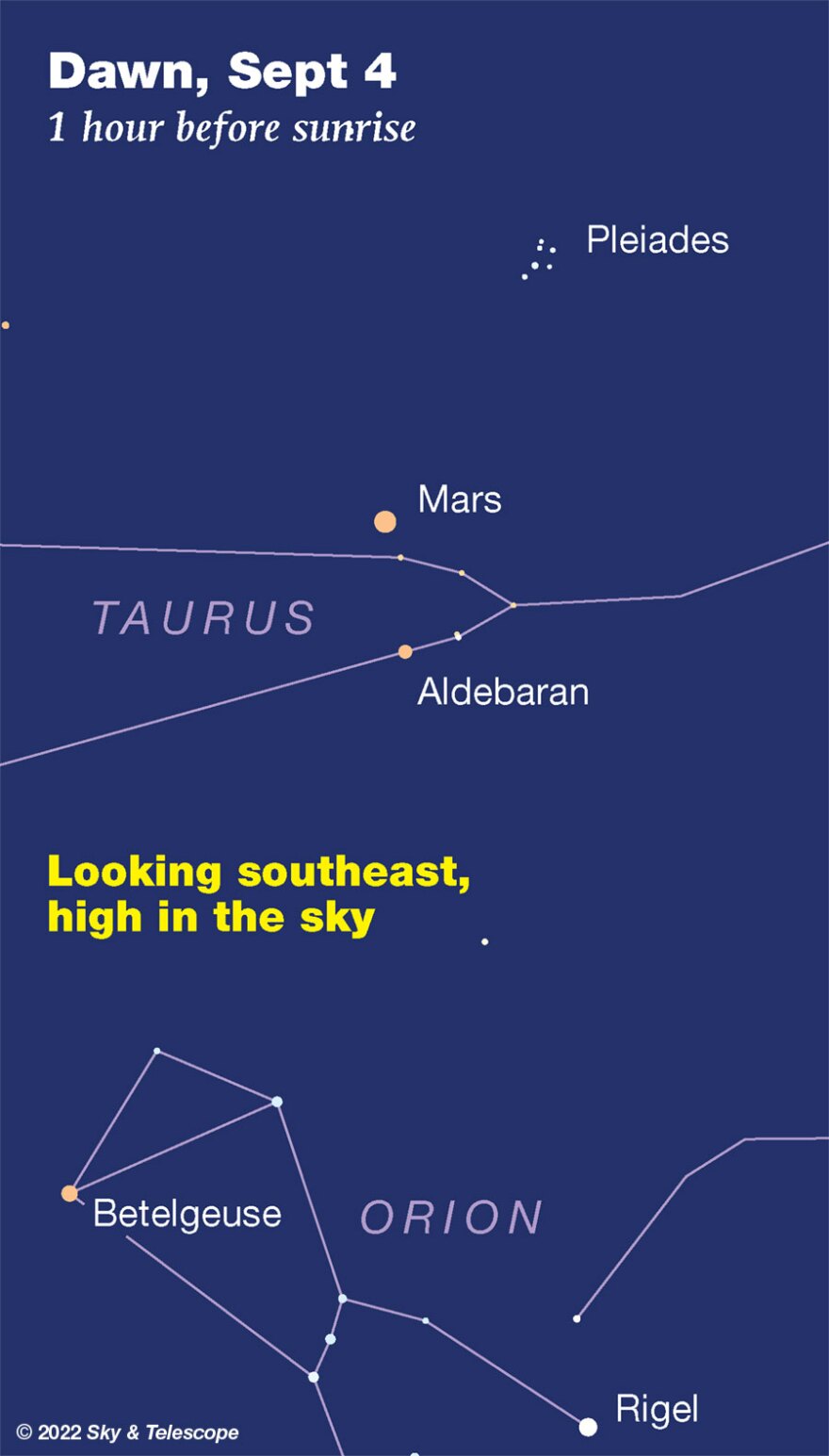 It's Time to Team up with Taurus Aldebaran!