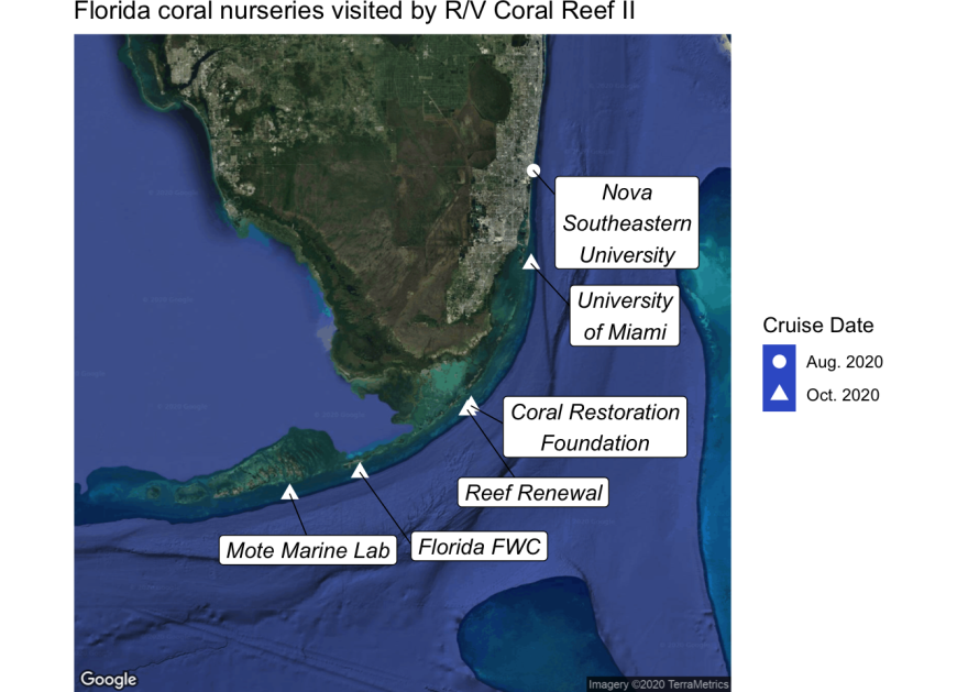 Researchers tested coral at ocean nurseries between the Keys and Broward County.