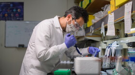 Kazemian is one of 12 researchers who participated in the study, and one of six Purdue professors involved.