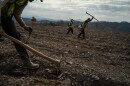Contracted workers from Williams Forestry & Associates plant tiny hardwood trees in late March atop a former coal mine in Russell County, part of The Nature Conservancy’s Cumberland Forest Project. It marked TNC’s first forest restoration effort in Virginia, part of a tri-state conservation effort that began more than five years ago.