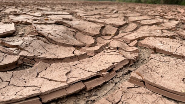 FILE - Cracked, dry mud makes up the riverbed of the Rio Grande in Albuquerque, N.M., on Thursday, Aug. 21, 2025.