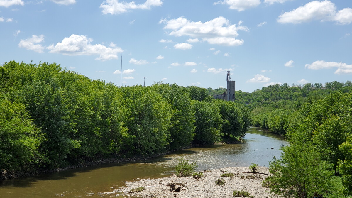The Mill Creek shows signs of natural resurgence - Vimarsana News