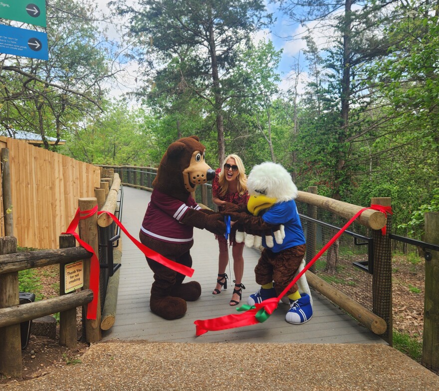 Springfield City Councilwoman Callie Carroll cuts the ribbon on Dickerson Park Zoo's Bear Boulevard along with Boomer Bear and Ozzie the Eagle on April 14, 2026.