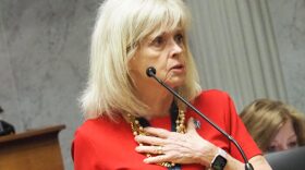 Sen. Liz Brown, R-Fort Wayne, speaks against legislation making Indiana school boards partisan on Thursday, April 24, 2025.