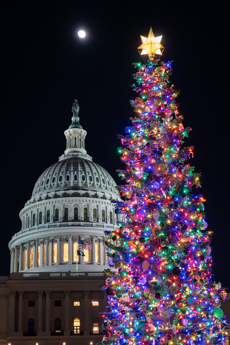 The U.S. Capitol Christmas tree, a 53-foot red fir from the Humboldt-Toiyabe National Forest in Nevada, is illuminated in Washington, Tuesday, Dec. 2, 2025.