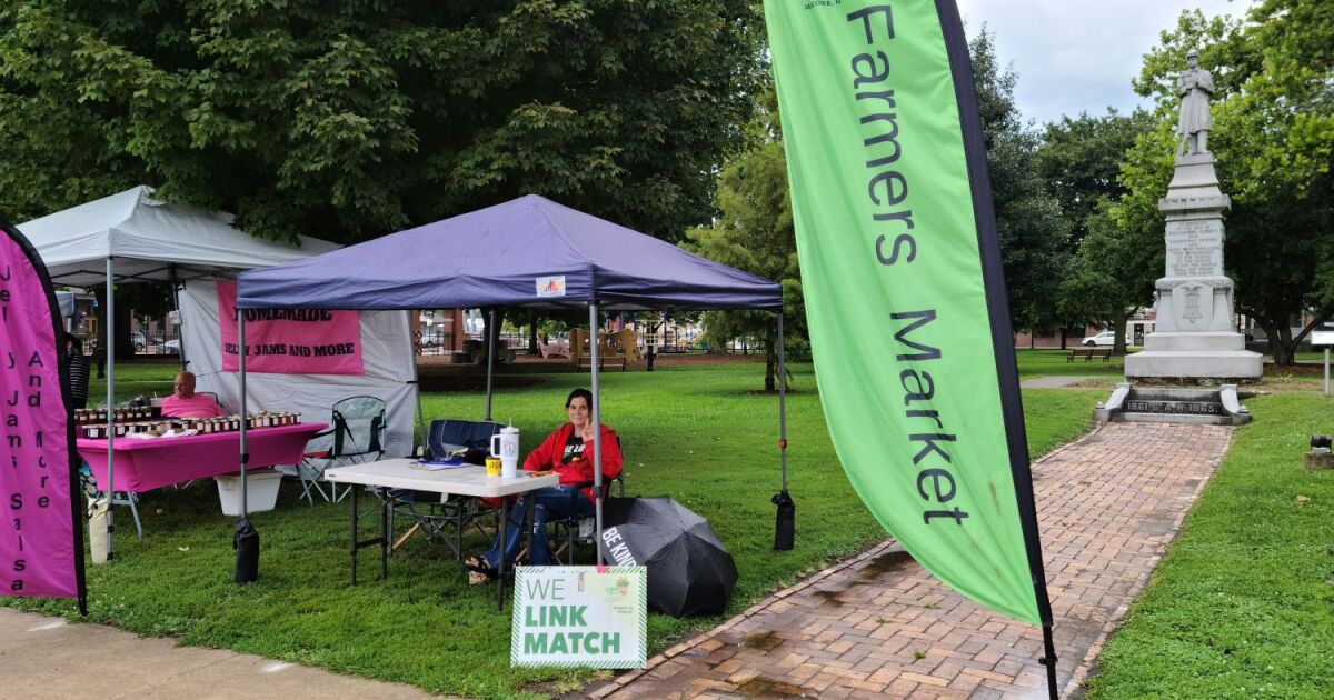 Macomb seeking funding possibilities for Chandler Park renovations