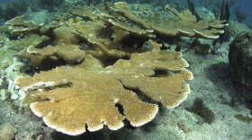 Photo: NOAA