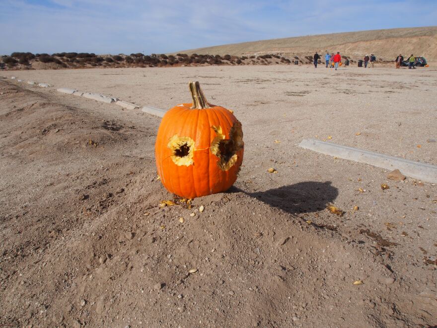 11032018-Dead-Pumpkin-Druzin-Boise.jpg