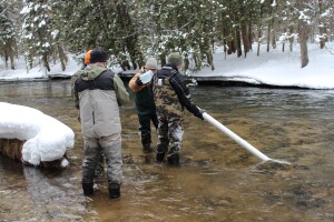 A new attempt to help whitefish, as they dwindle in Lake Michigan
