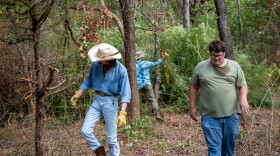 Volunteers cut down privet at Pontotoc Ridge Preserve.